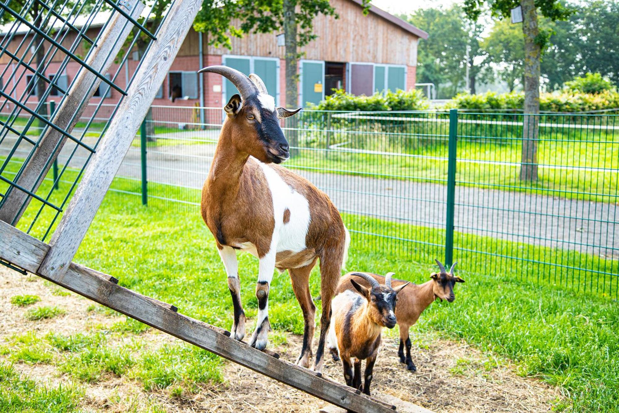Landhuus Laurenz Gronau  Exterior foto